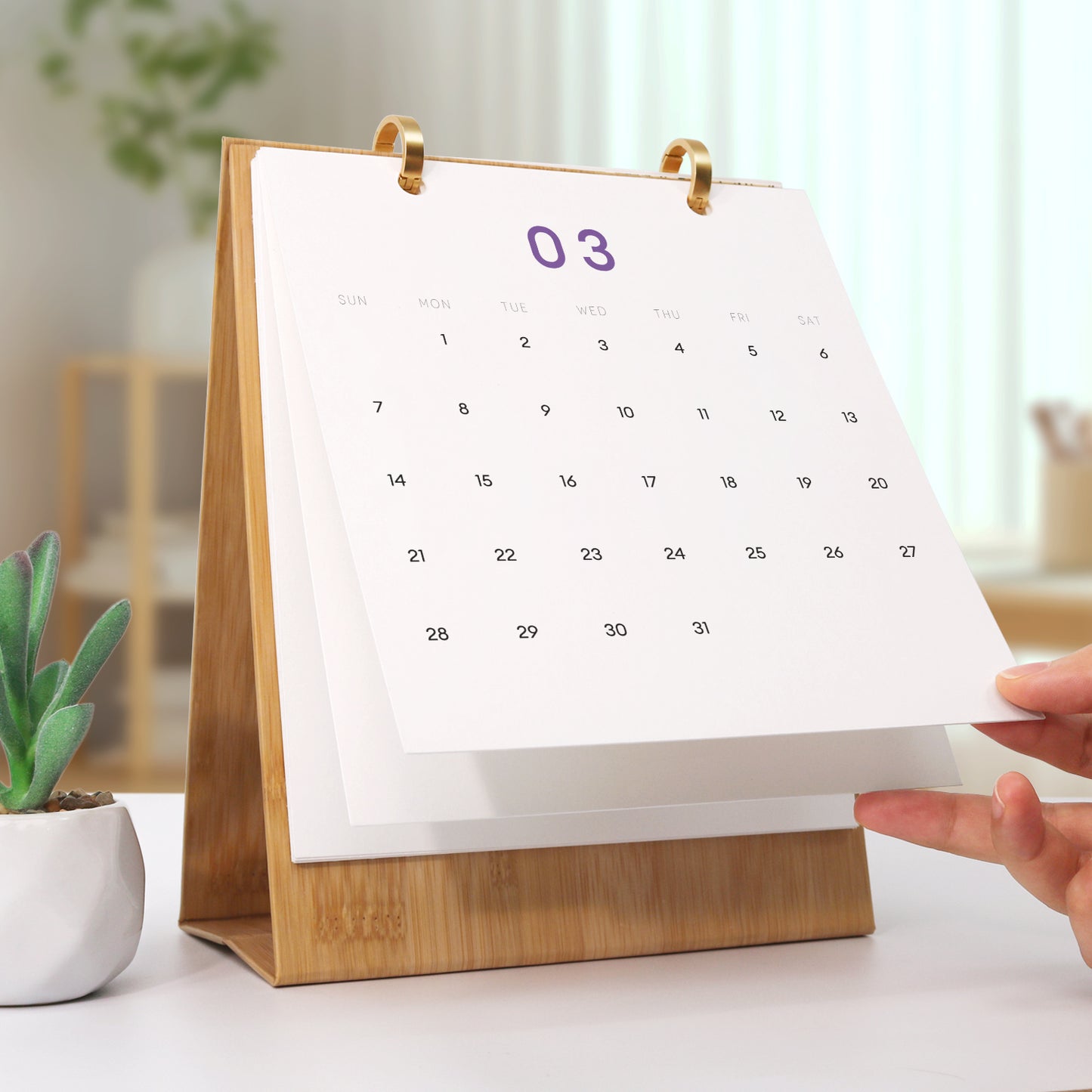 Flowers Edition - 2027 Paint by Numbers Desk Calenda
