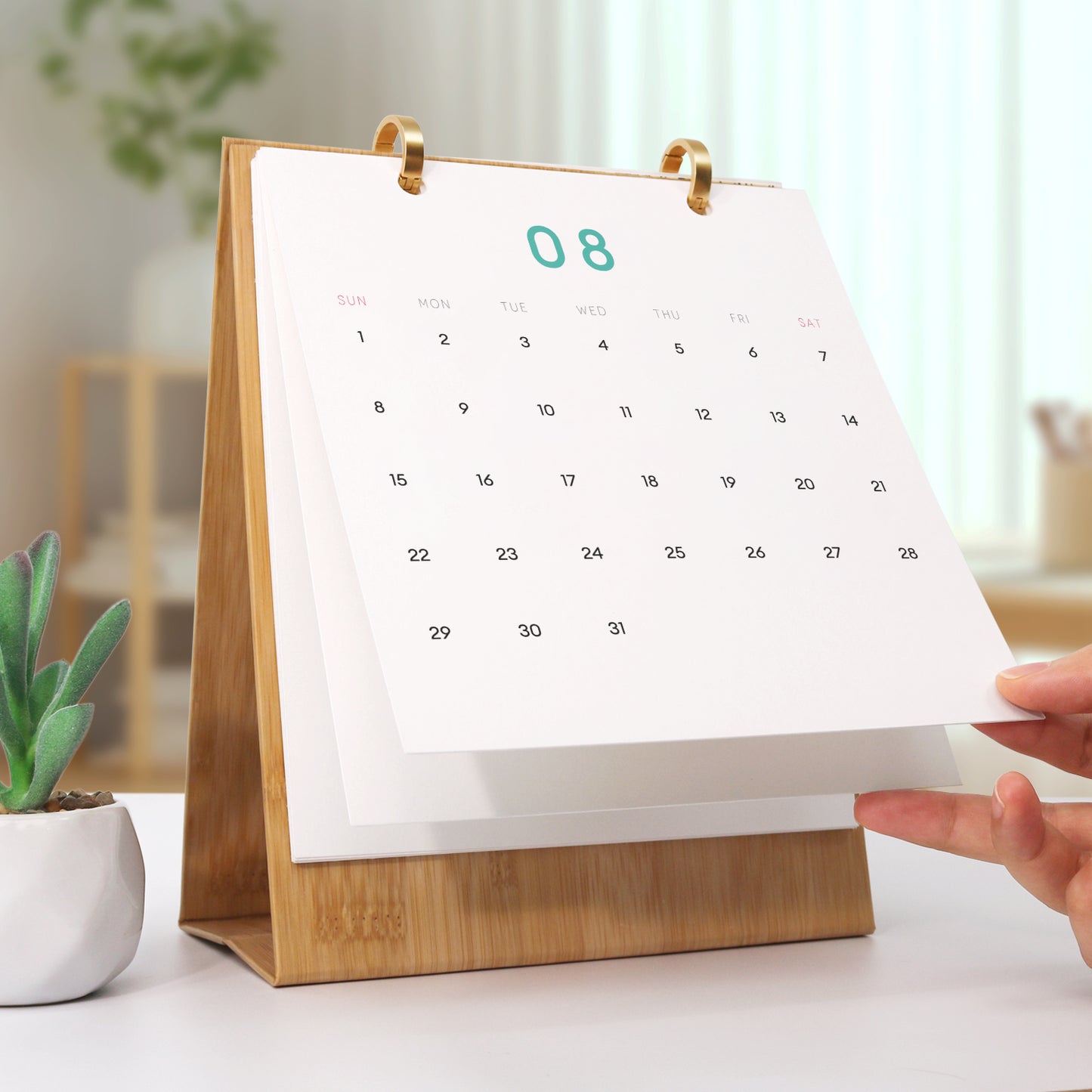 Travel Edition - 2027 Paint by Numbers Desk Calenda