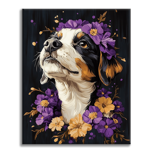 Bernese Mountain Dog - Paint by Numbers