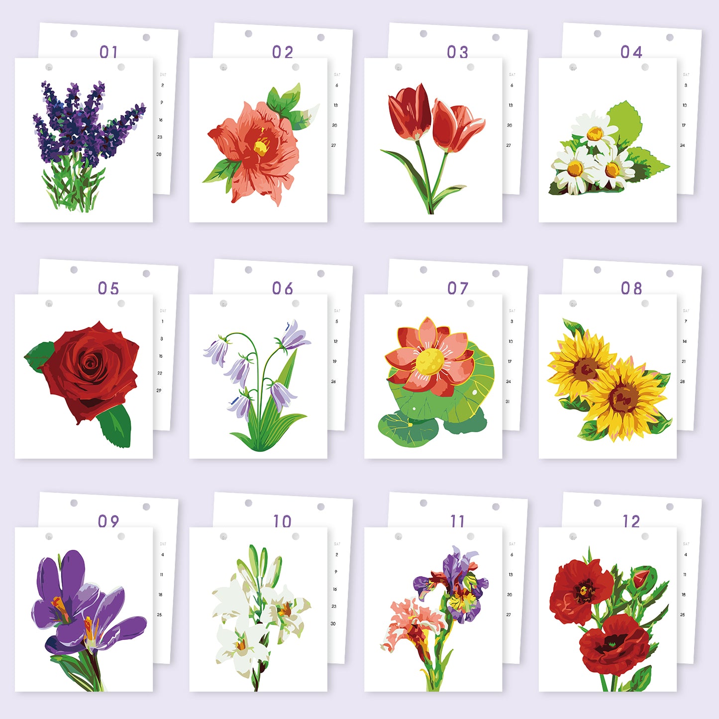 Flowers Edition - 2027 Paint by Numbers Desk Calenda