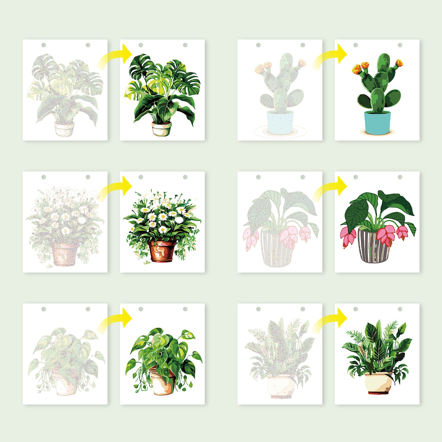 Plants Edition - 2027 Paint by Numbers Desk Calenda