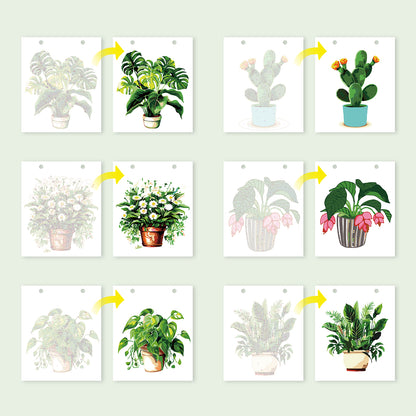 Plants Edition - 2027 Paint by Numbers Desk Calenda