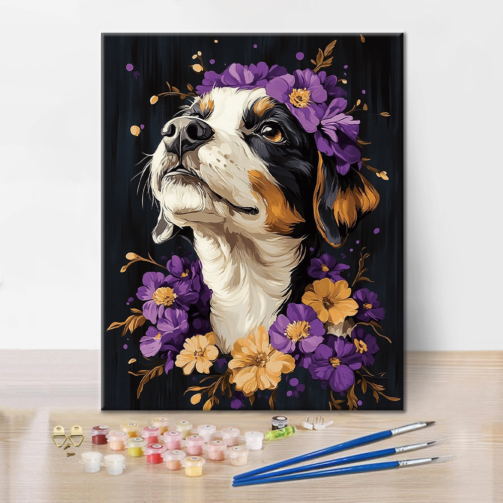 Bernese Mountain Dog - Paint by Numbers