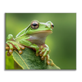 Tree Frog - Paint by Numbers