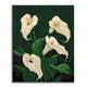Blooming White Calla Lilies - Paint by Numbers