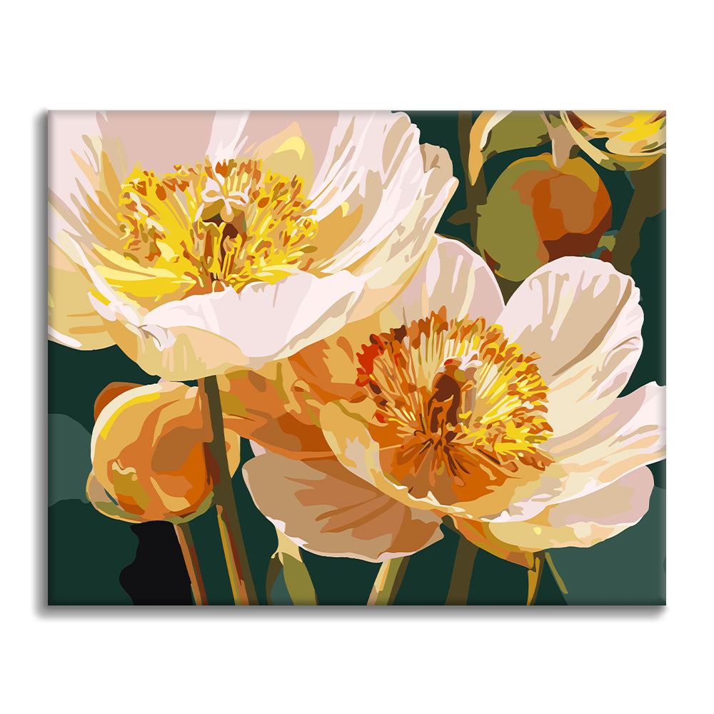 Soft Petals - Paint by Numbers