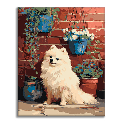 Pomeranian by Brick Wall - Paint by Numbers