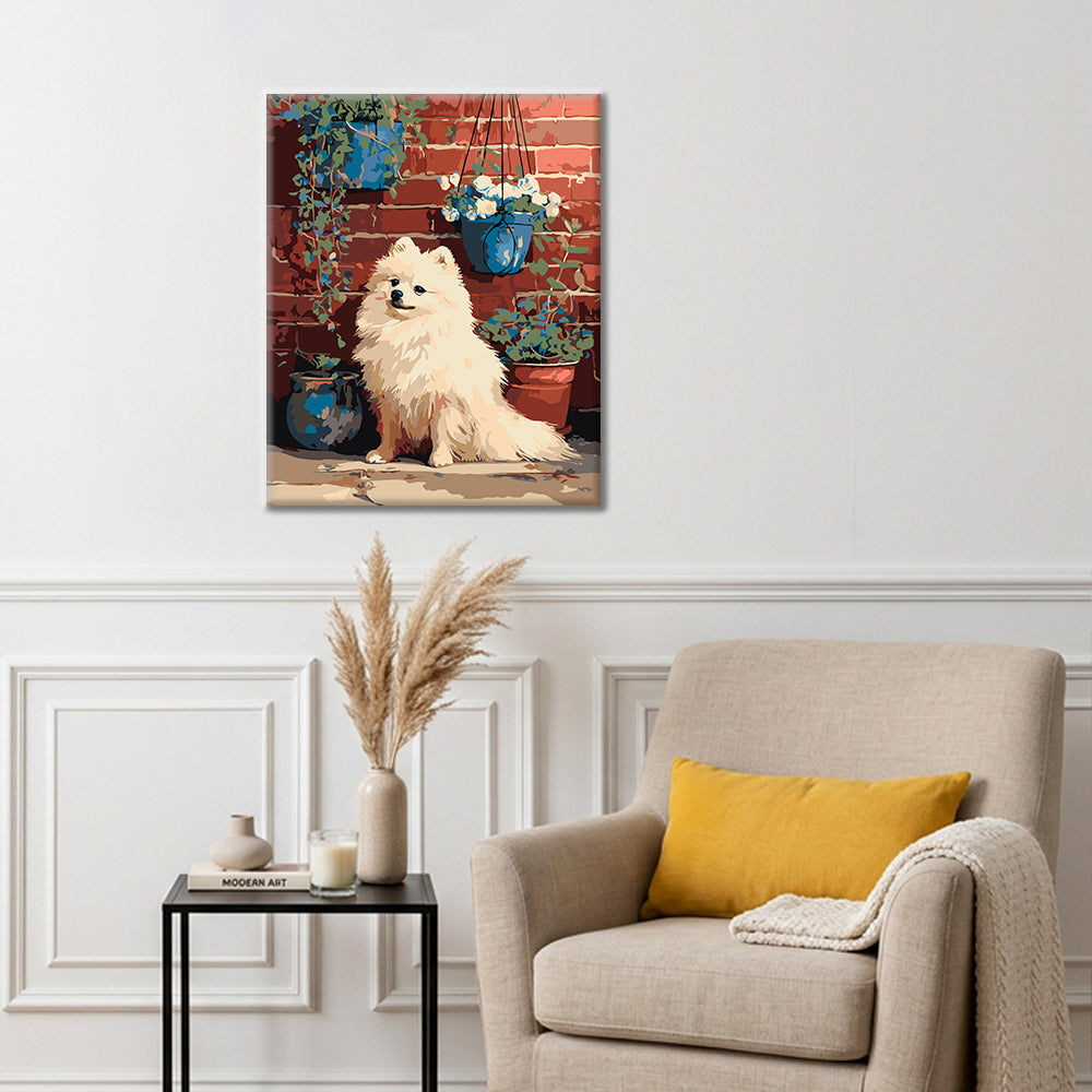 Pomeranian by Brick Wall - Paint by Numbers