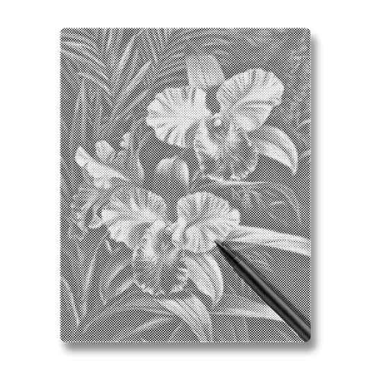 Pink Orchid - Dot Painting