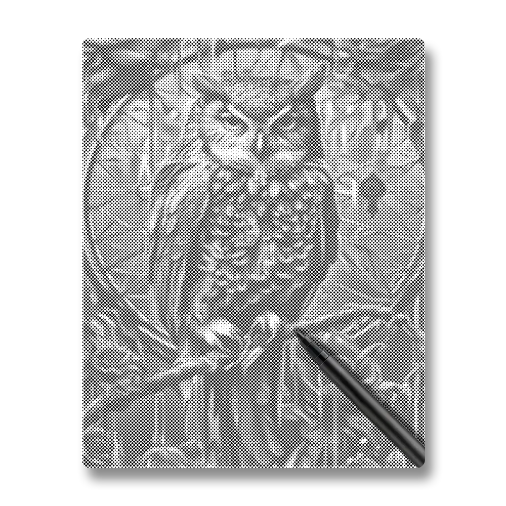 An Owl - Dot Painting