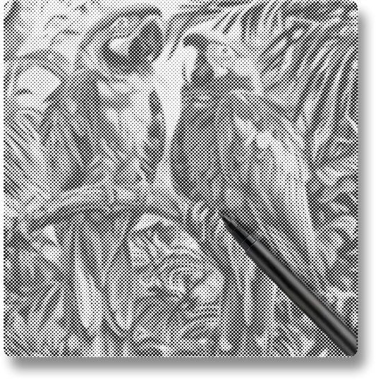 Parrot Bird - Dot Painting