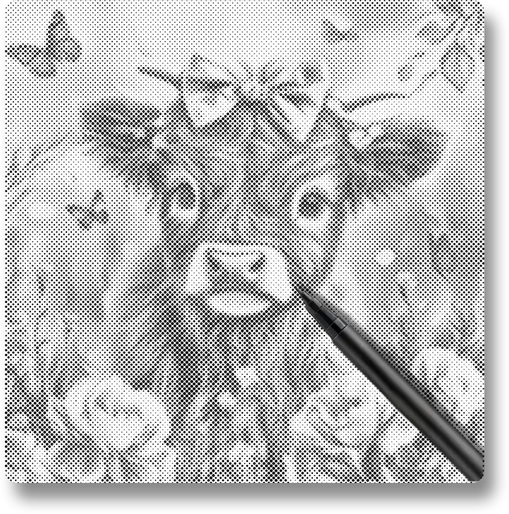 Adorable Highland Calf with Flowers - Dot Painting