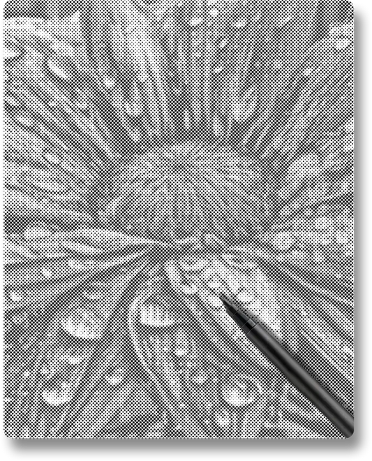 Flower with Raindrops - Dot Painting