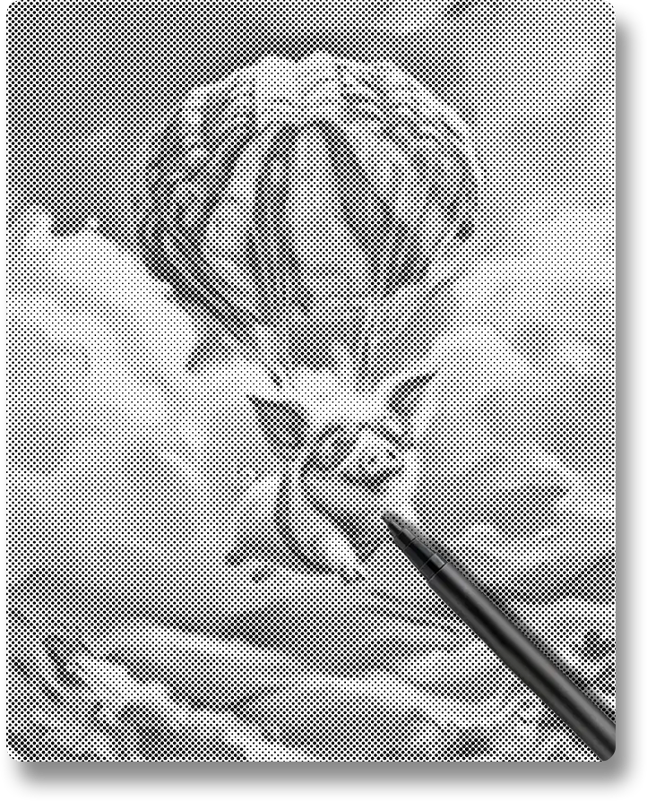 Flying Pig - Dot Painting