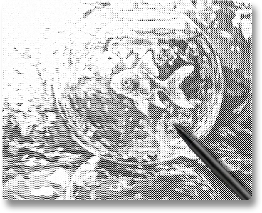 Goldfish - Dot Painting