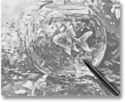 Goldfish - Dot Painting