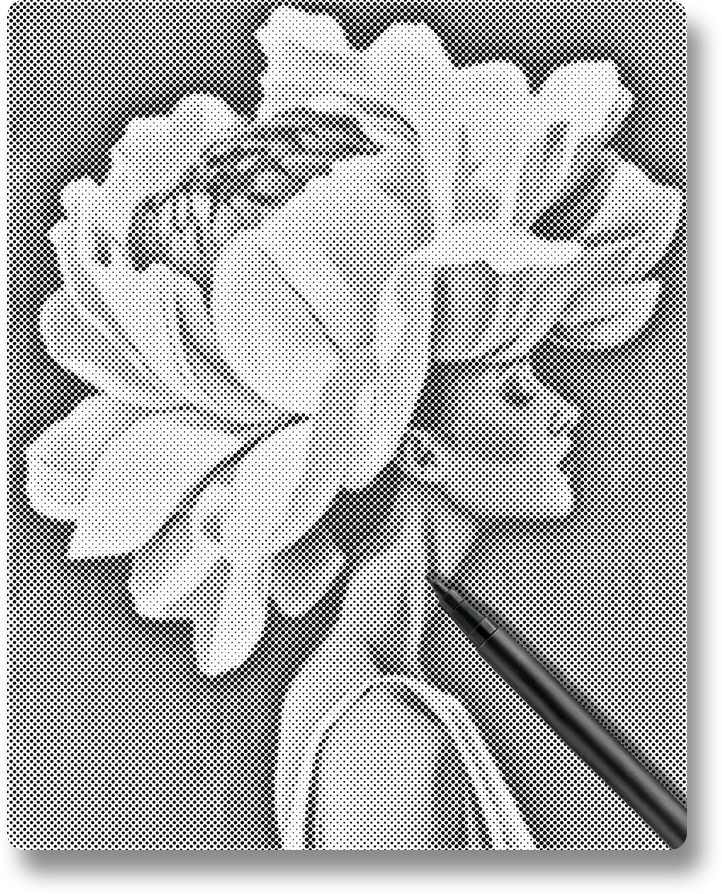 Flower & Woman - Dot Painting