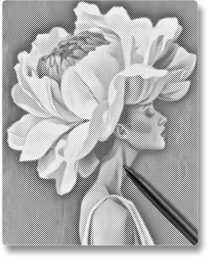 Flower & Woman - Dot Painting