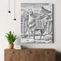 llama wearing - Dot Painting