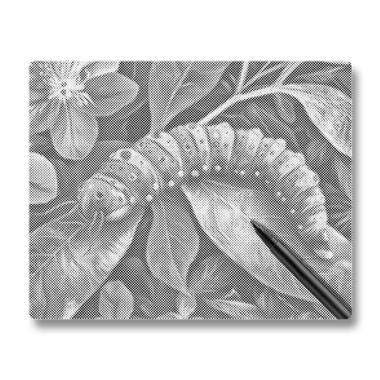 Caterpillar - Dot Painting