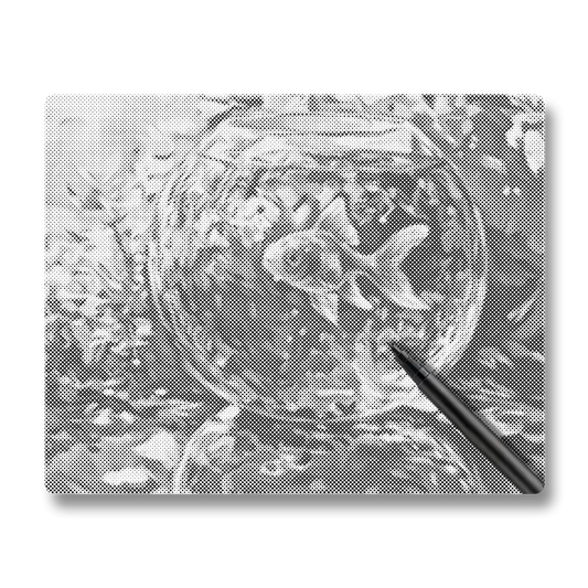 Goldfish - Dot Painting