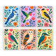 Birds in Bloom