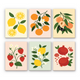 Fresh Fruit Garden