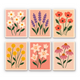 Simple Garden Blooms