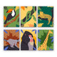 Tropical Jungle Animals