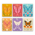 Colorful Butterflies